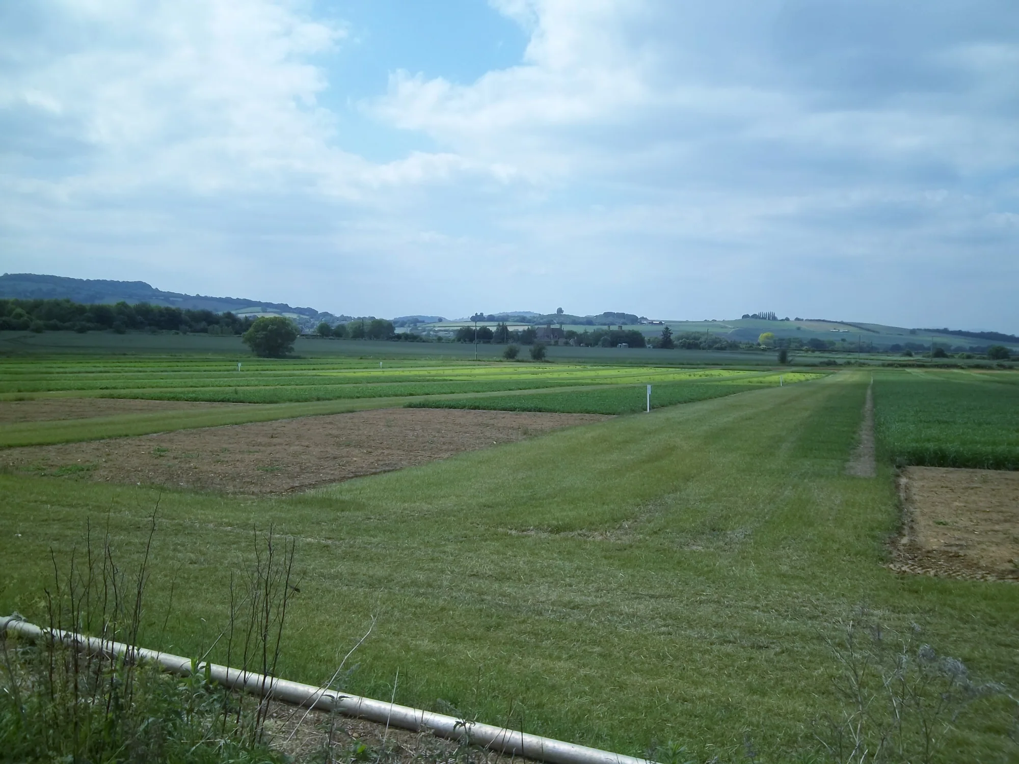 Agritech, United Kingdom