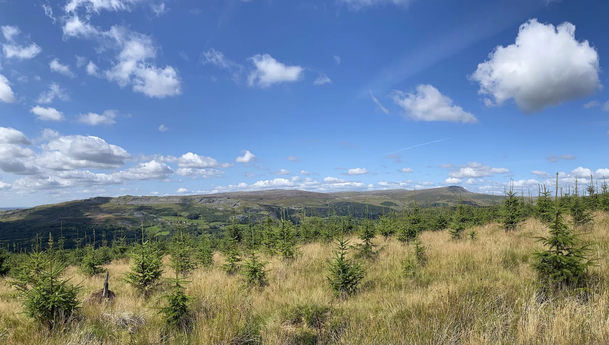 Brecon Beacons, Brecon Beacons